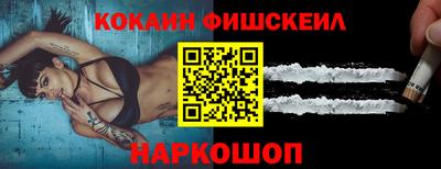 гашик Камышлов