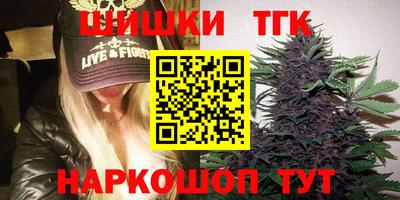 гашик Камышлов