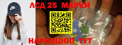 гашик Камышлов