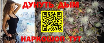 гашик Камышлов