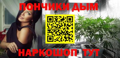гашик Камышлов