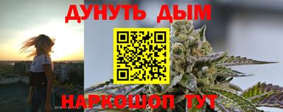 гашик Камышлов