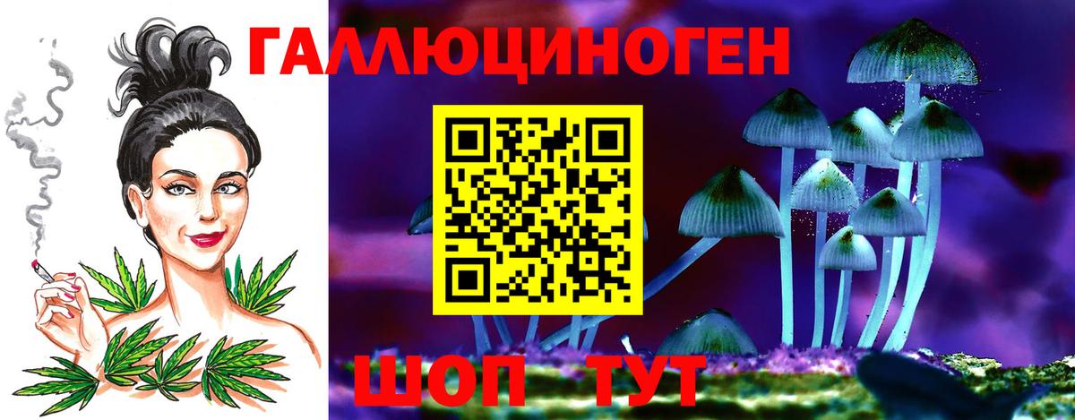 наркота  Вход с VPN  Заводоуковск  Галлюциногенные грибы Psilocybe 