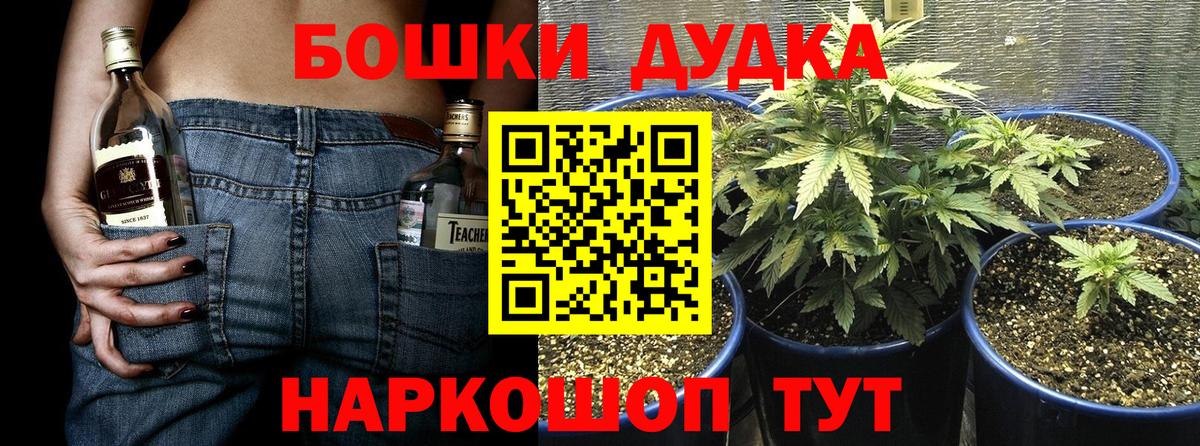 Шишки марихуана планчик  Каннабис ГИДРОПОН  Вход с VPN  Бошки Шишки сатива  Заводоуковск  Конопля MAZAR 